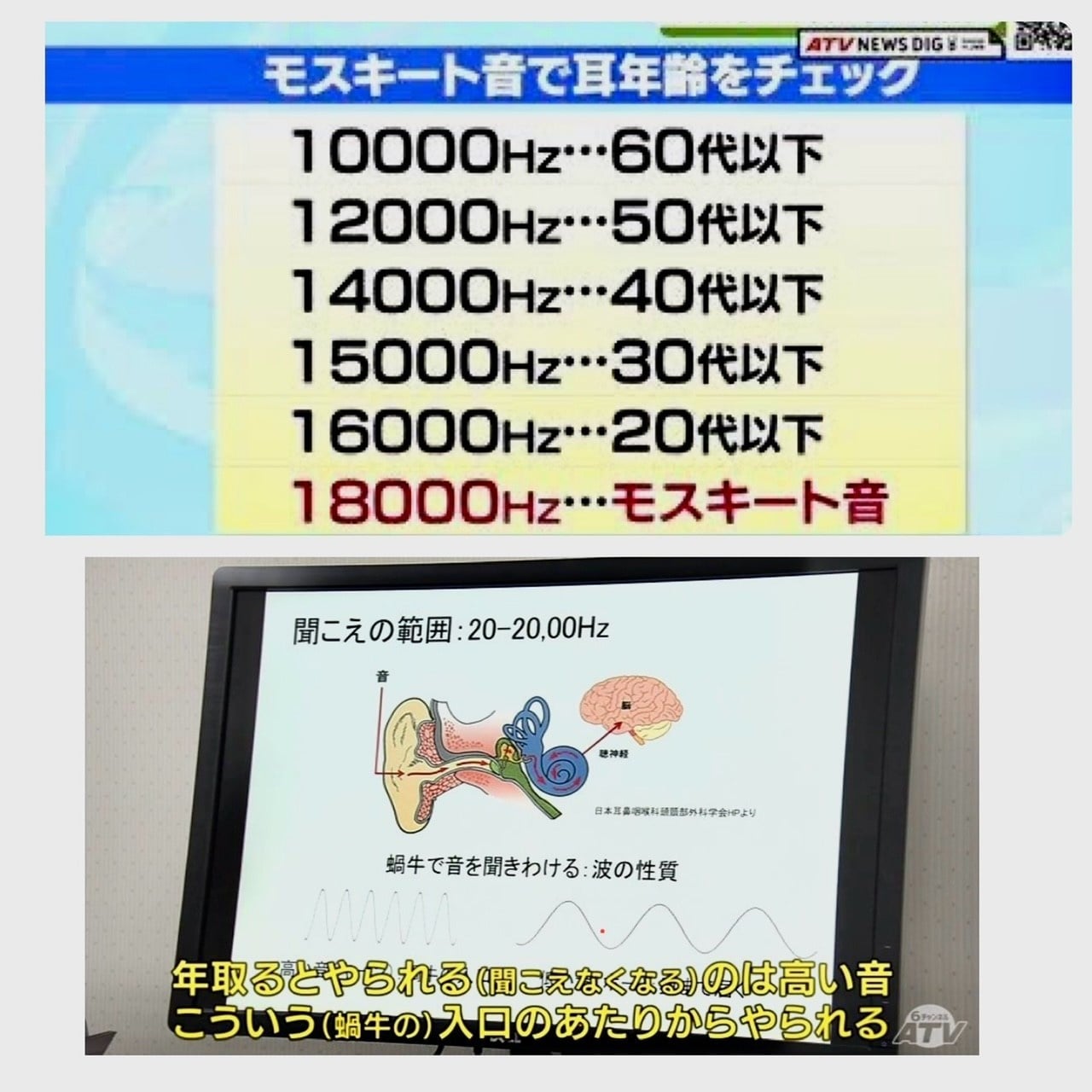 モスキート音で耳年齢チェック！高周波が聞こえない謎と難聴サイン