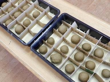 泥団子作りから「苔の観察」まで：効率主義の裏で広がる「タイパ逆行」の幸福論