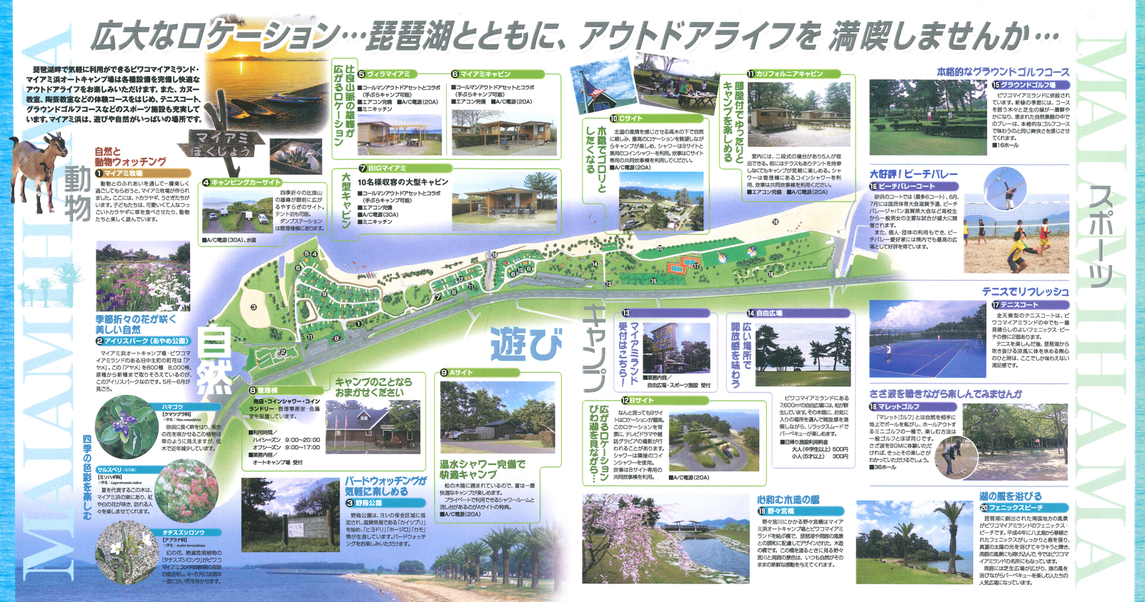 マイアミ浜オートキャンプ場を徹底検証！予約激戦の理由と強風対策の盲点