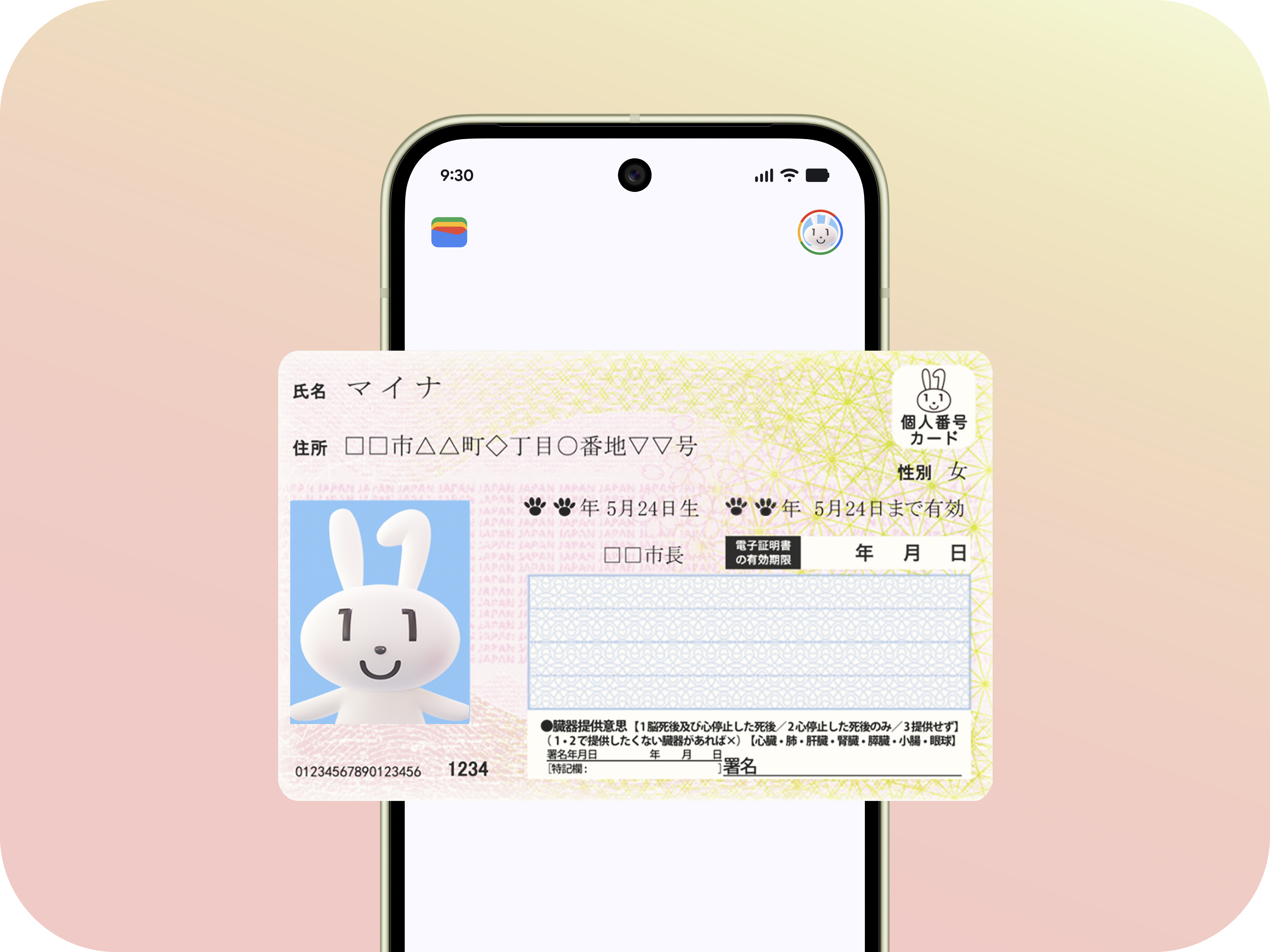 Androidマイナンバーカード完全解説！カード不要の真相と手順