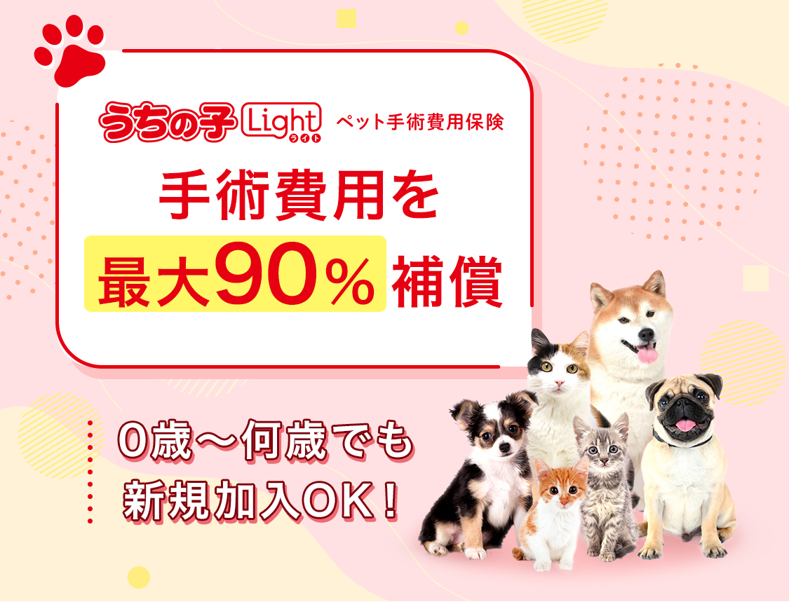 アイペット保険の評判と値上げの真相！2026最新の損得徹底比較