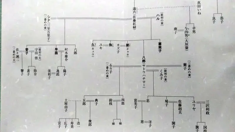 【速報】 佐藤 愛子 家 系図 最新ファイル＆画像まとめ #726
