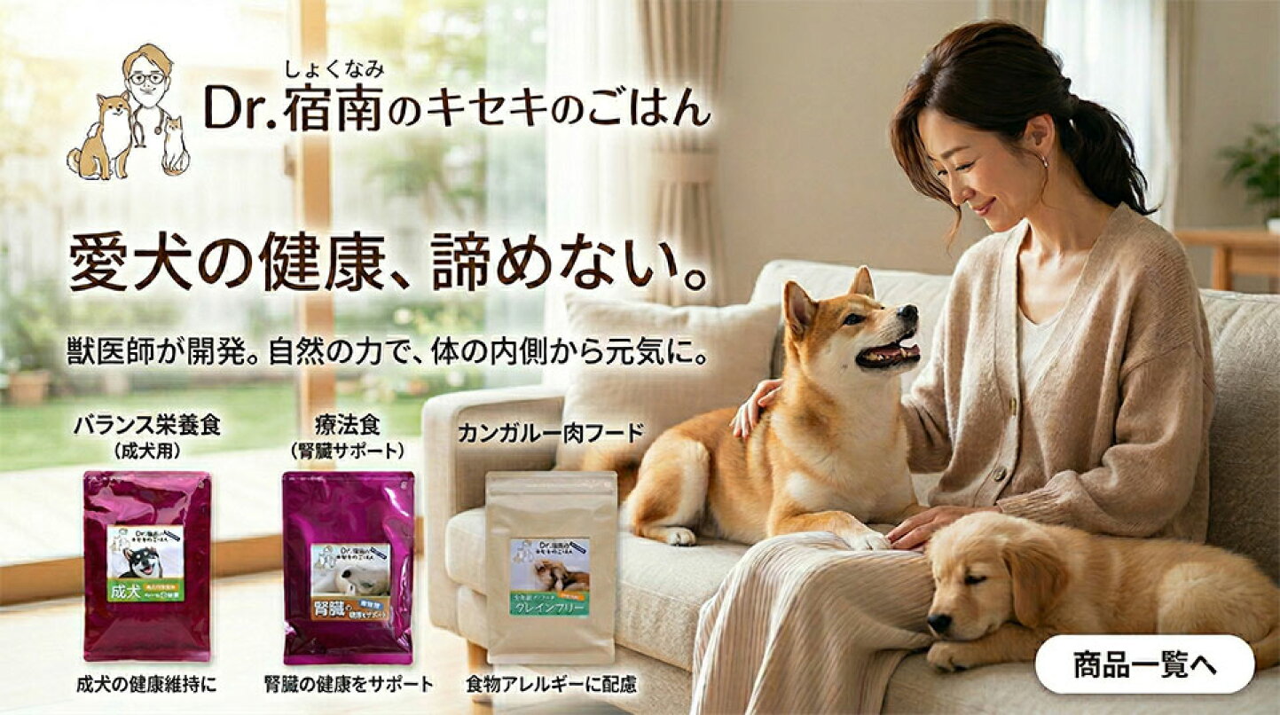 愛情ごはん療法食の真相！食べない愛犬を救う工夫と獣医師の本音
