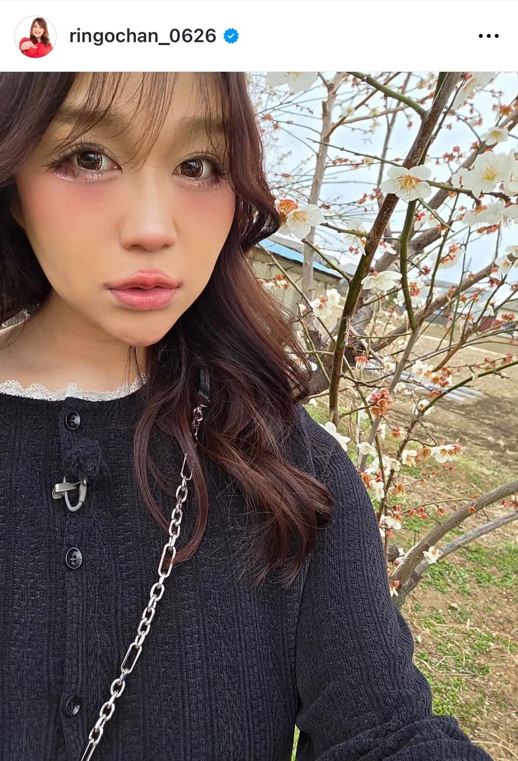りんごちゃん激やせの真相！何キロ減量？現在の姿と噂の理由を徹底解明