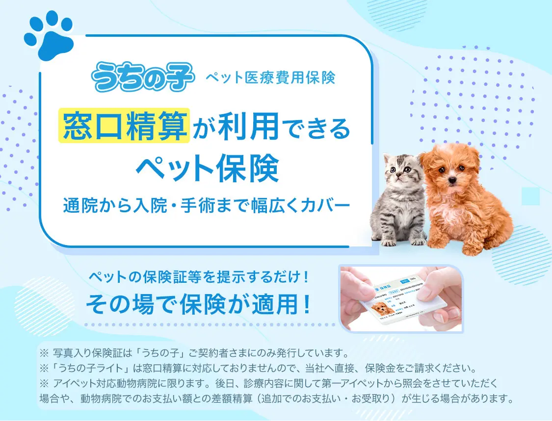 アイペット損保の真実｜保険金が下りない噂や値上げの盲点を徹底検証