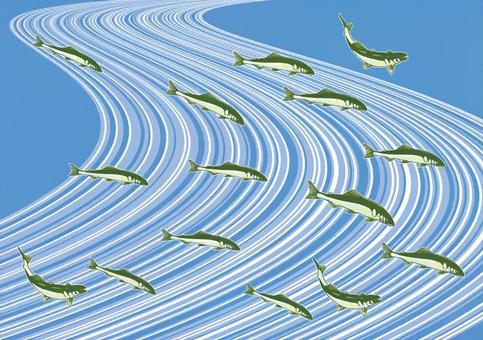幻の清流魚が変える地方の未来。なぜ今「魚へんに秋」と書くあの魚が世界中から注目されているのか？