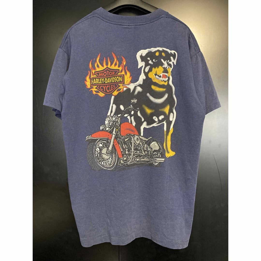 ハーレーヴィンテージTシャツ高騰の真相と偽物の見分け方【2026】