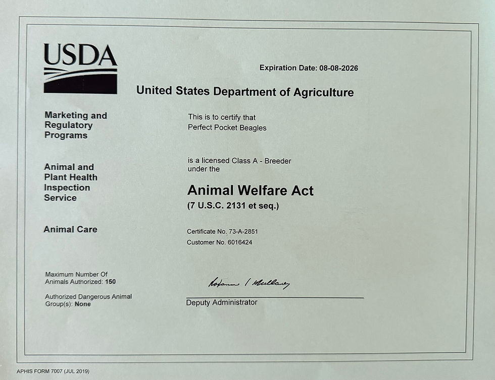 Usda Vet Certificate