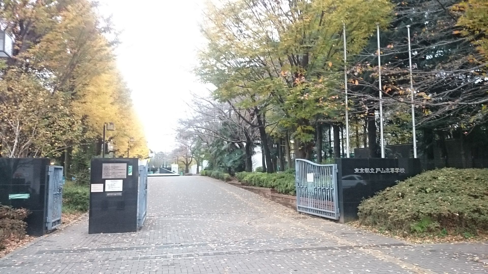 都立戸山高校の進学実績と偏差値｜東大・医学部躍進と入試対策2026