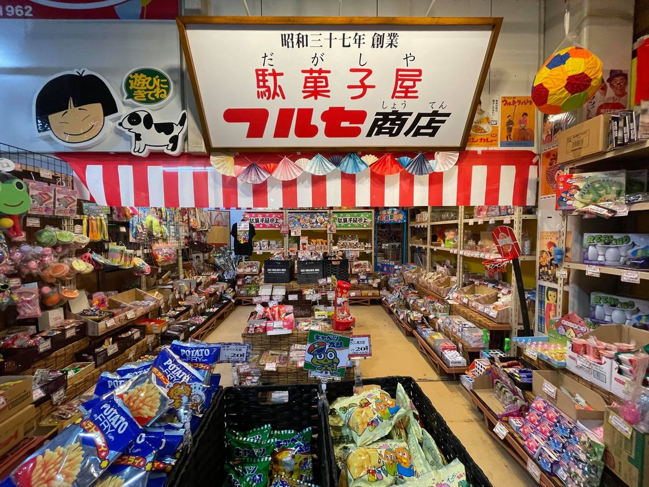 セルフのフルセなぜ安い？評判・チラシ・店舗の最新事情を徹底解剖