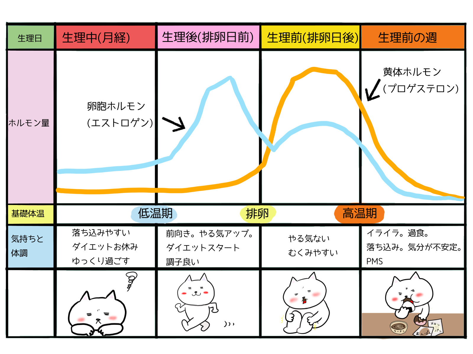 生理前の異常な食欲なぜ止まらない？原因解明と太らない過食対策