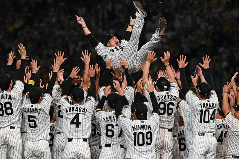 甲子園が悲鳴を上げる夜。2026年、阪神タイガースの「地鳴り応援」がスポーツ界を揺るがす理由