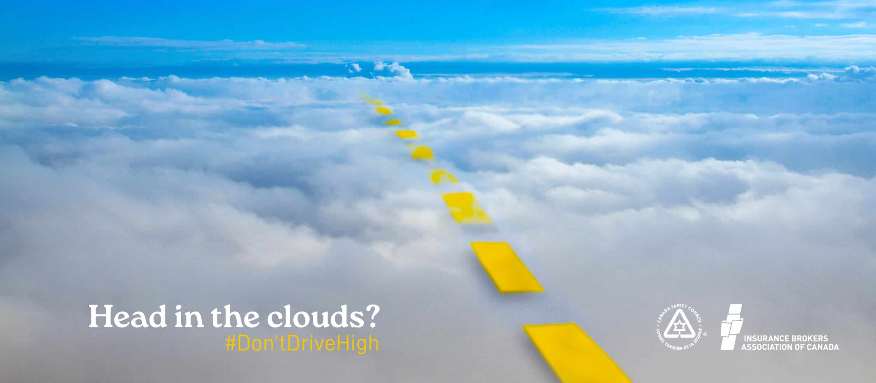 Head in the Cloud Bag Policy