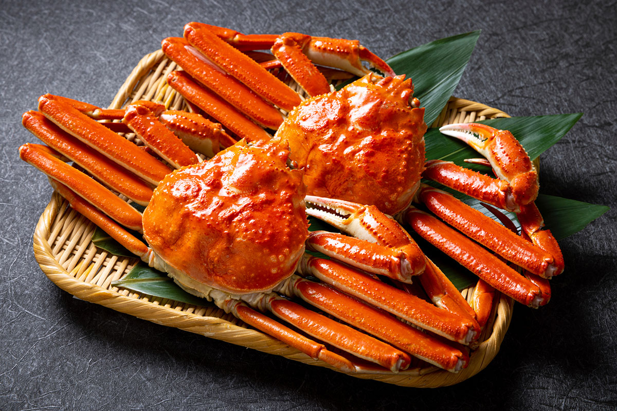 ずから始まる食べ物決定版！しりとり無双の文字数別一覧と絶品名鑑