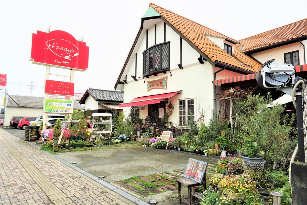 「フラワー花友」現地取材！限定購入ルートと日本最大級の裏側