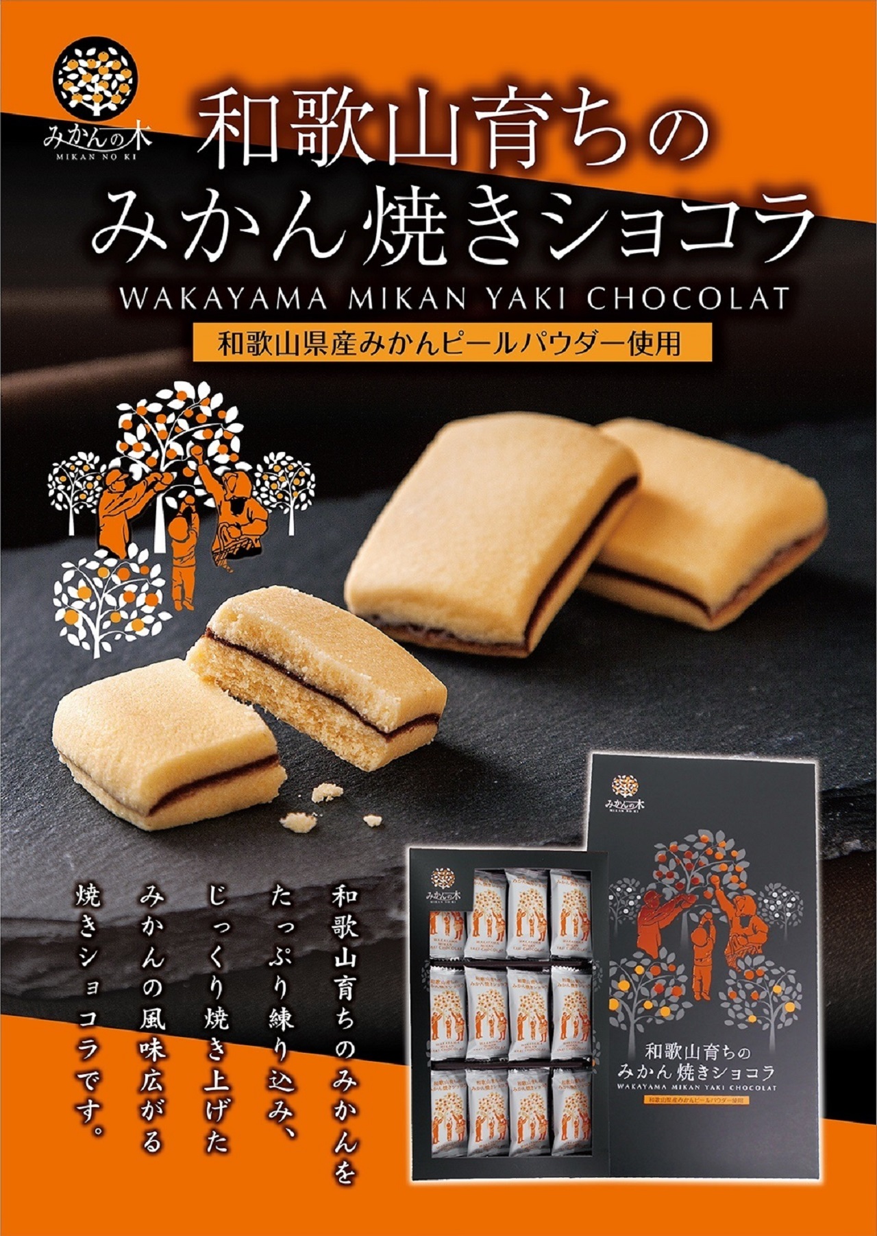 和歌山で本当に買うべきお土産とは？定番銘菓と絶品グルメを徹底追跡