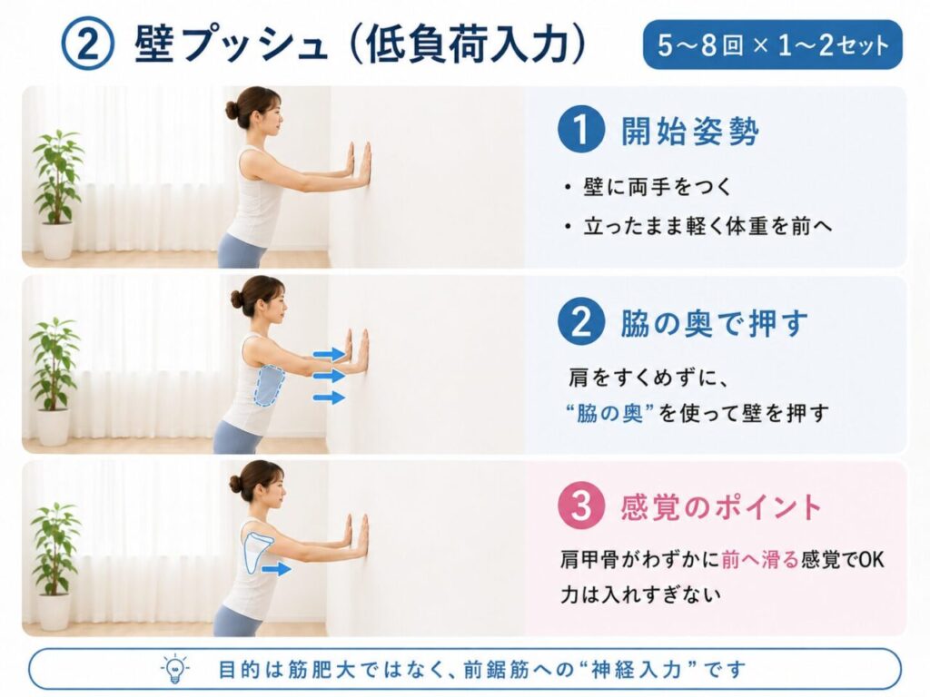脇腹引き締めと肩こり解消の鍵！前鋸筋筋トレ決定版と効かせる極意