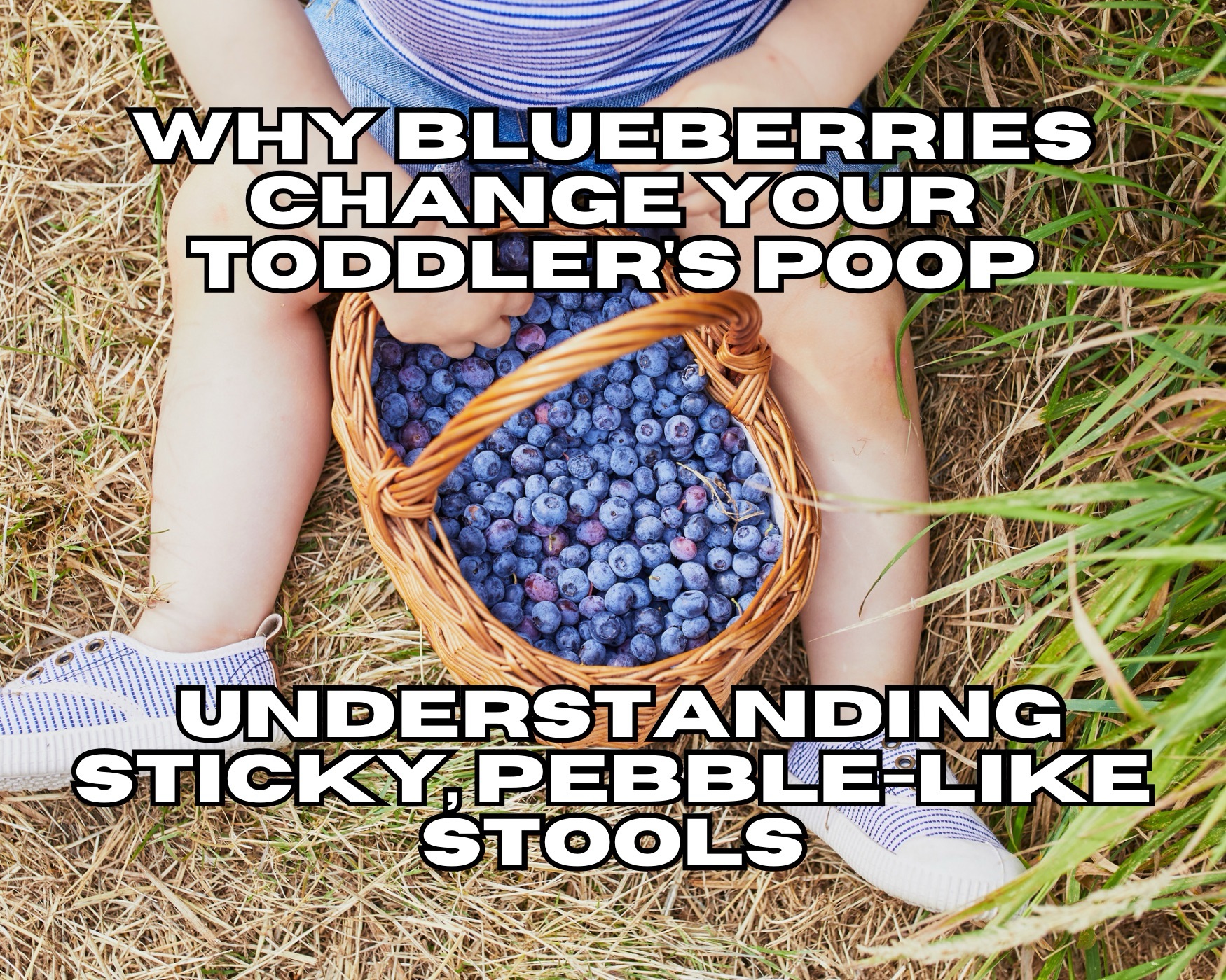 Do Blueberries Change Poop Color