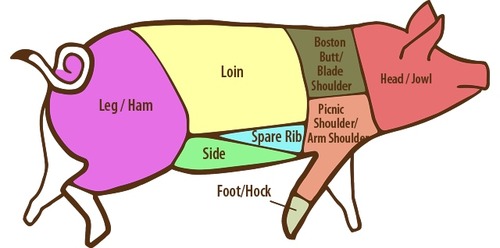 Does Sausage Come from Pigs