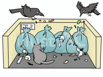 ゴミ箱を荒らすのはどっち？都会で急増する野生動物トラブルと、今すぐ知るべき「タヌキ と アライグマ の 違い」