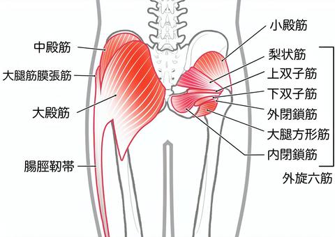 【最新】 尻 に 敷 かれる と は Tiktok話題の動画 #662