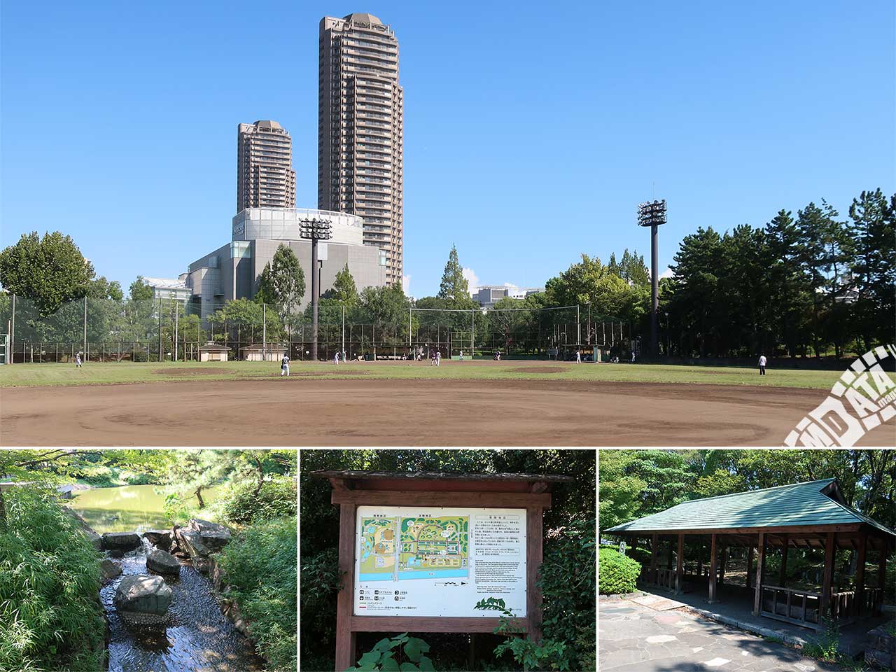 猿江公園野球場の予約が取れない真相！倍率や空き状況・料金を徹底解剖