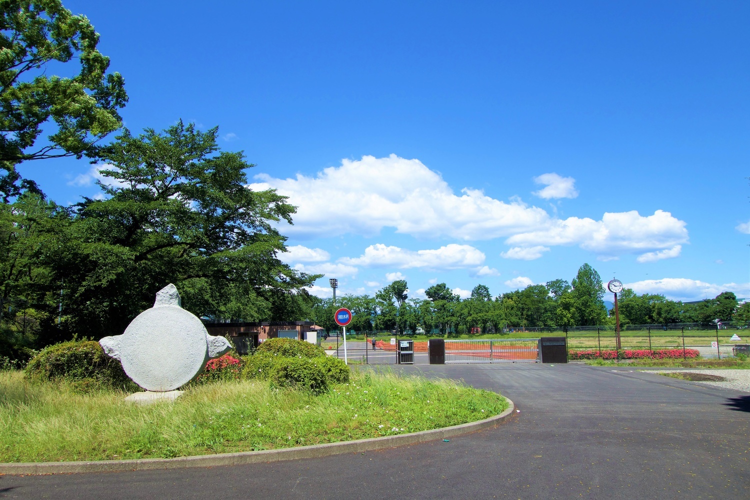 八王子・富士森公園の桜と花火！屋台＆駐車場攻略と穴場完全ガイド