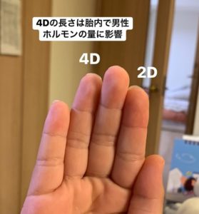 薬指の長さで魅力が変わる？Snsで話題の「2D:4D比率」と令和の新しい美の基準