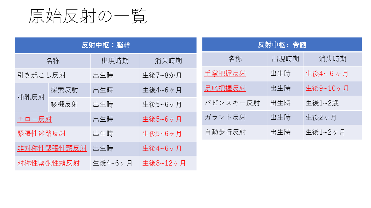 【2026年最新】原始反射一覧！消失時期と残存時の発達影響を徹底解説