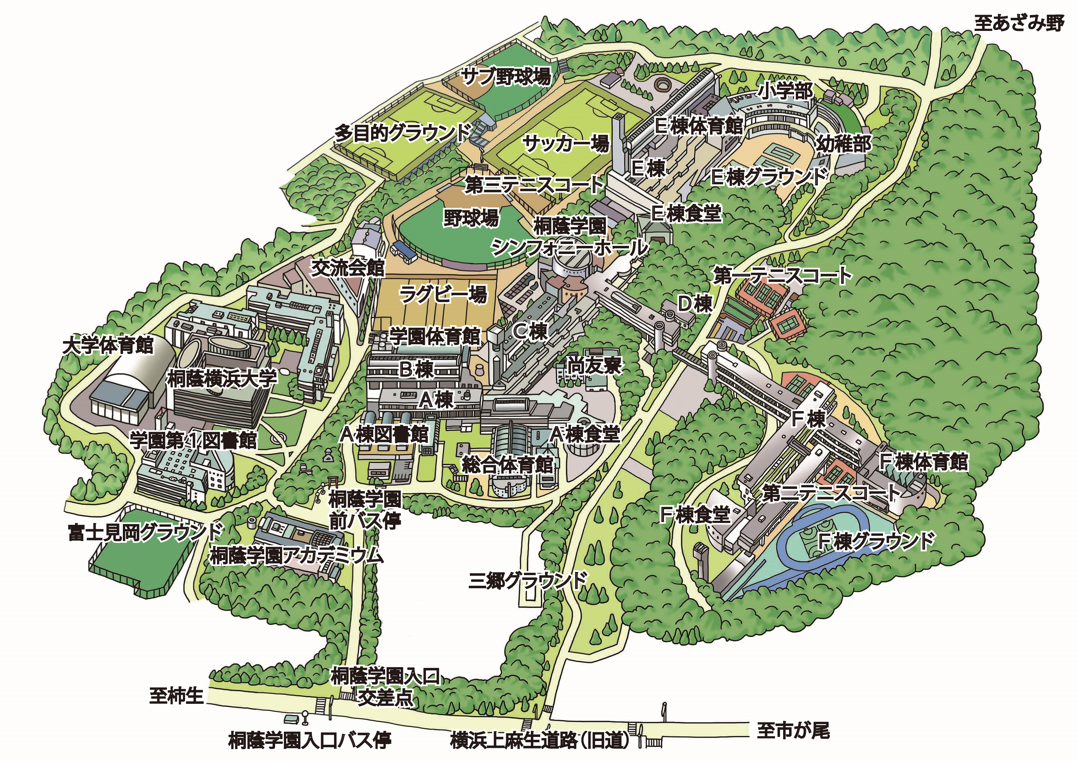 桐蔭学園の評判と進学実績は？共学化後の真実とコース別偏差値