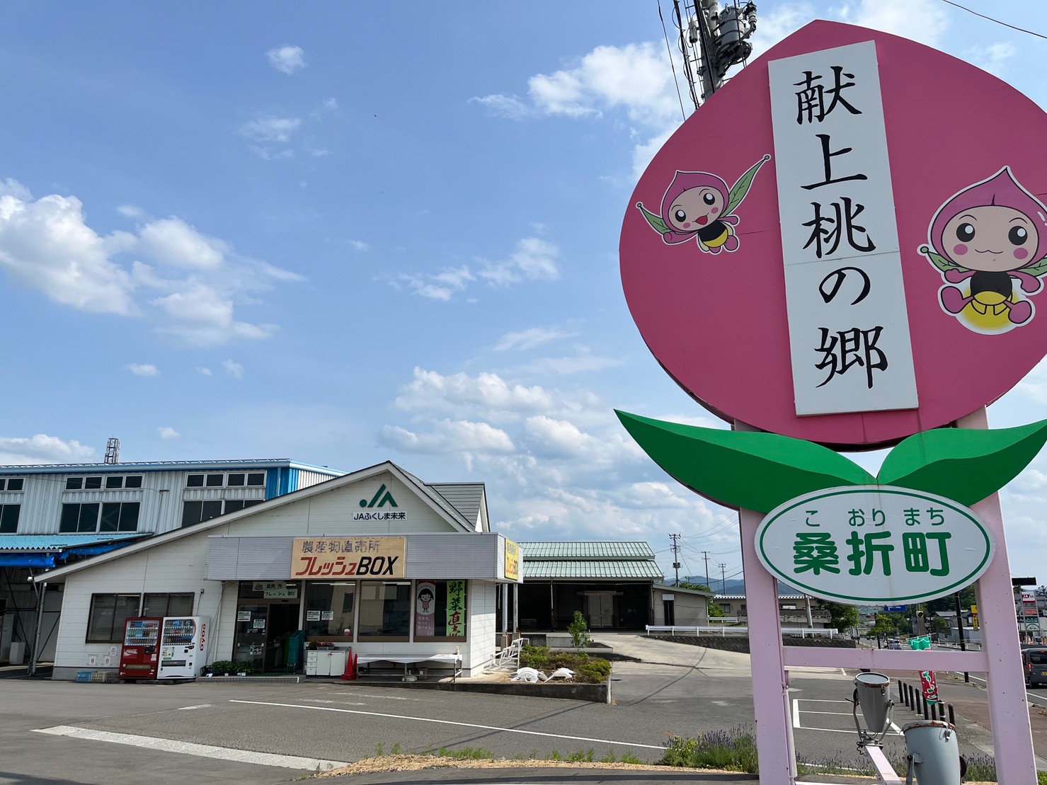 福島県の桃直売所おすすめ2026！規格外はねだし穴場と混雑回避術