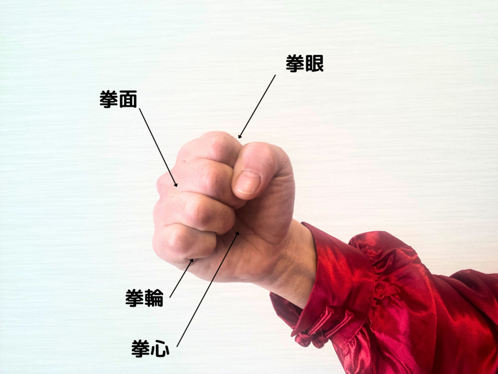 拳とは？「こぶし」と「けん」の違いや正しい握り方を徹底解説