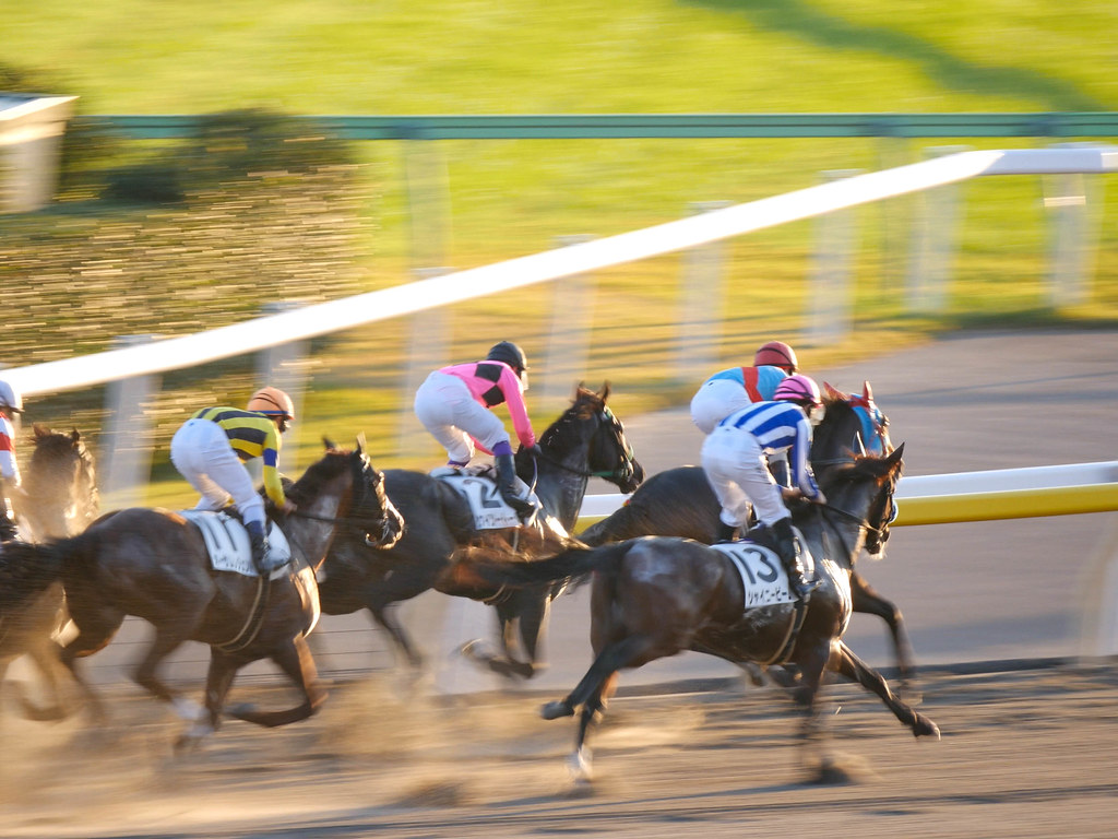 競馬の流し馬券で勝率Up！ボックスとの違いや回収率を伸ばす軸馬の極意