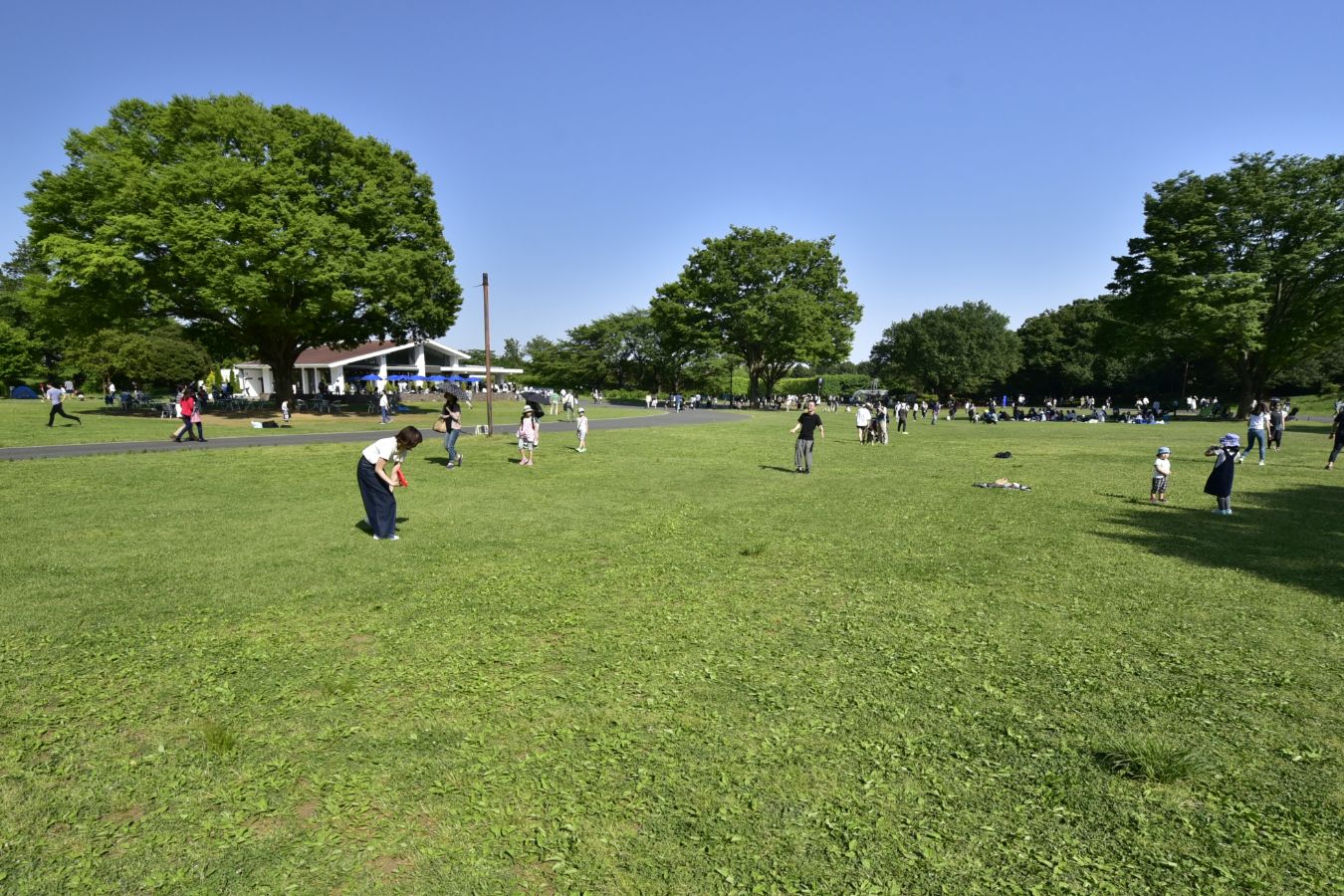 話題のふれあいの広場を徹底取材！混雑回避と料金・体験の全貌