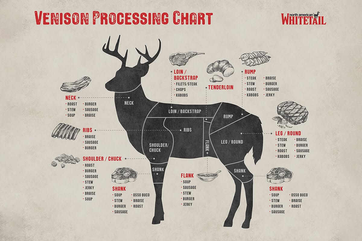 What Is the Best Cut of Venison