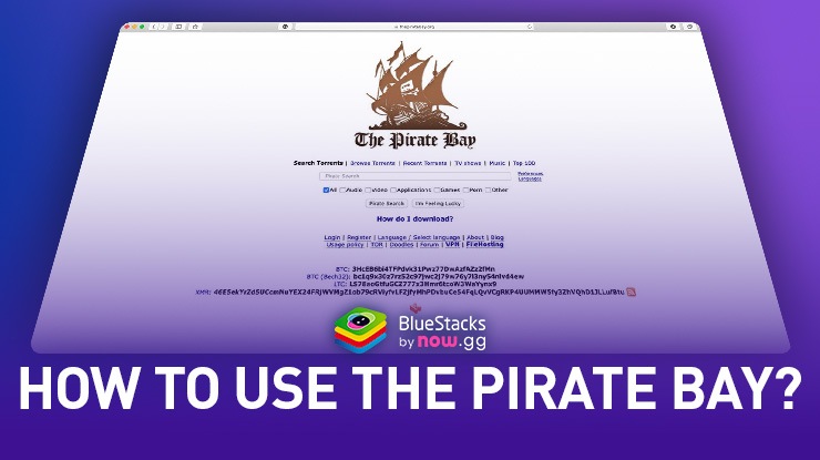 How to Download from Pirate Bay