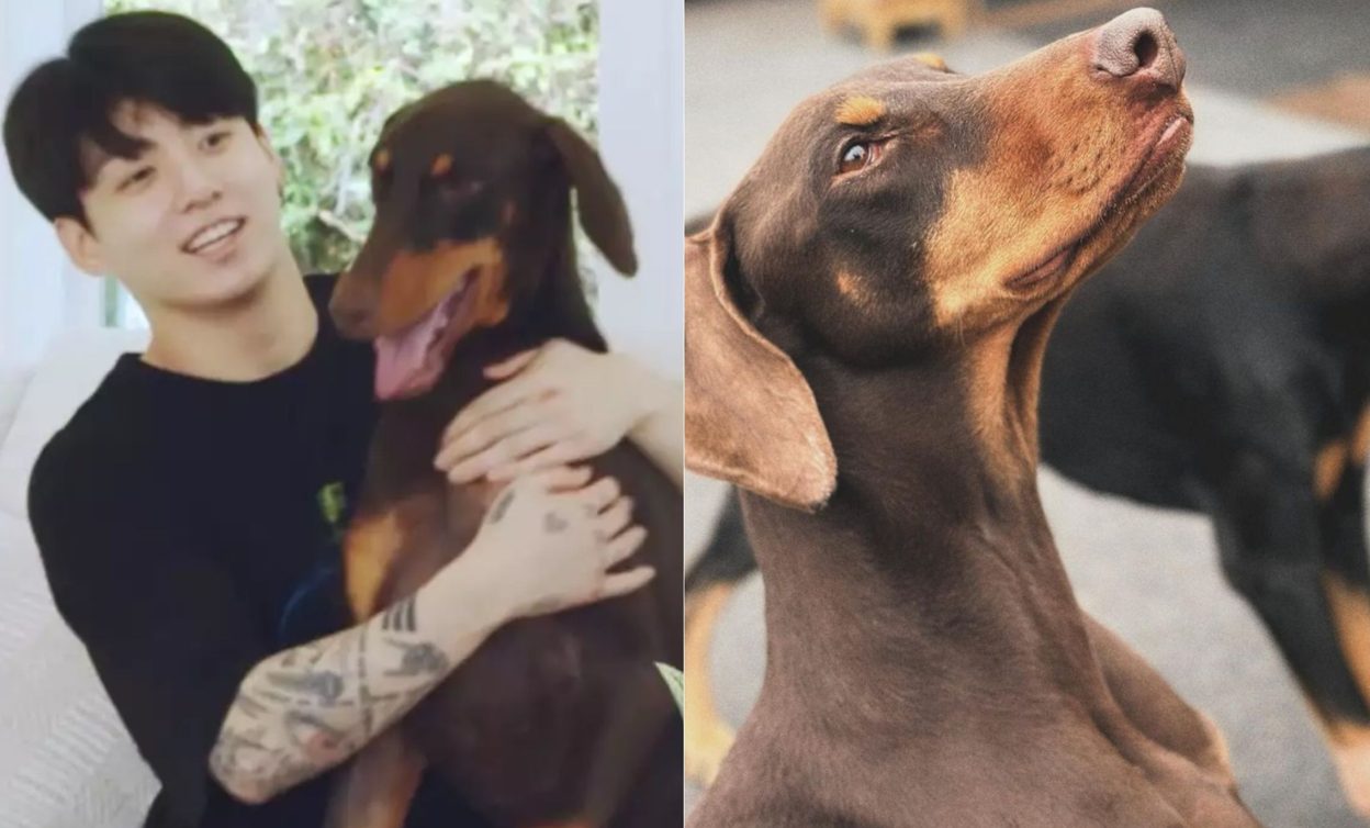 What Is Jungkook Pet Name