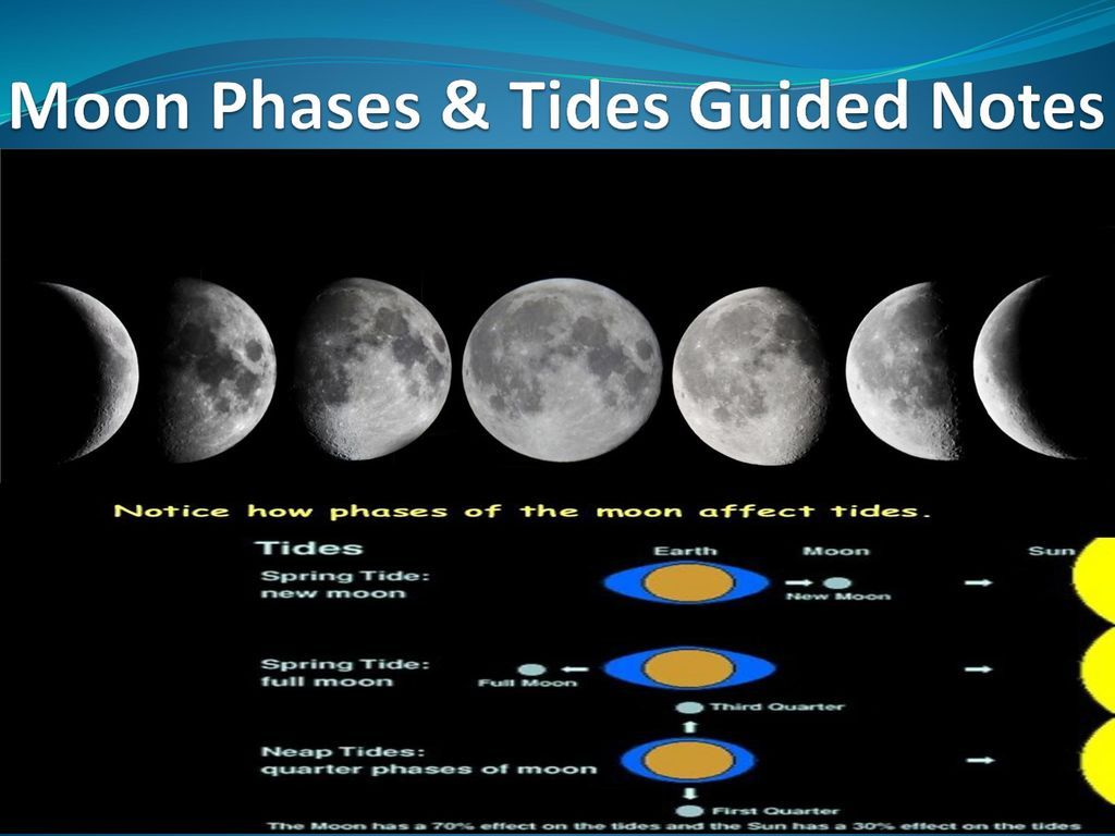 How Do the Phases of the Moon Affect the Tides