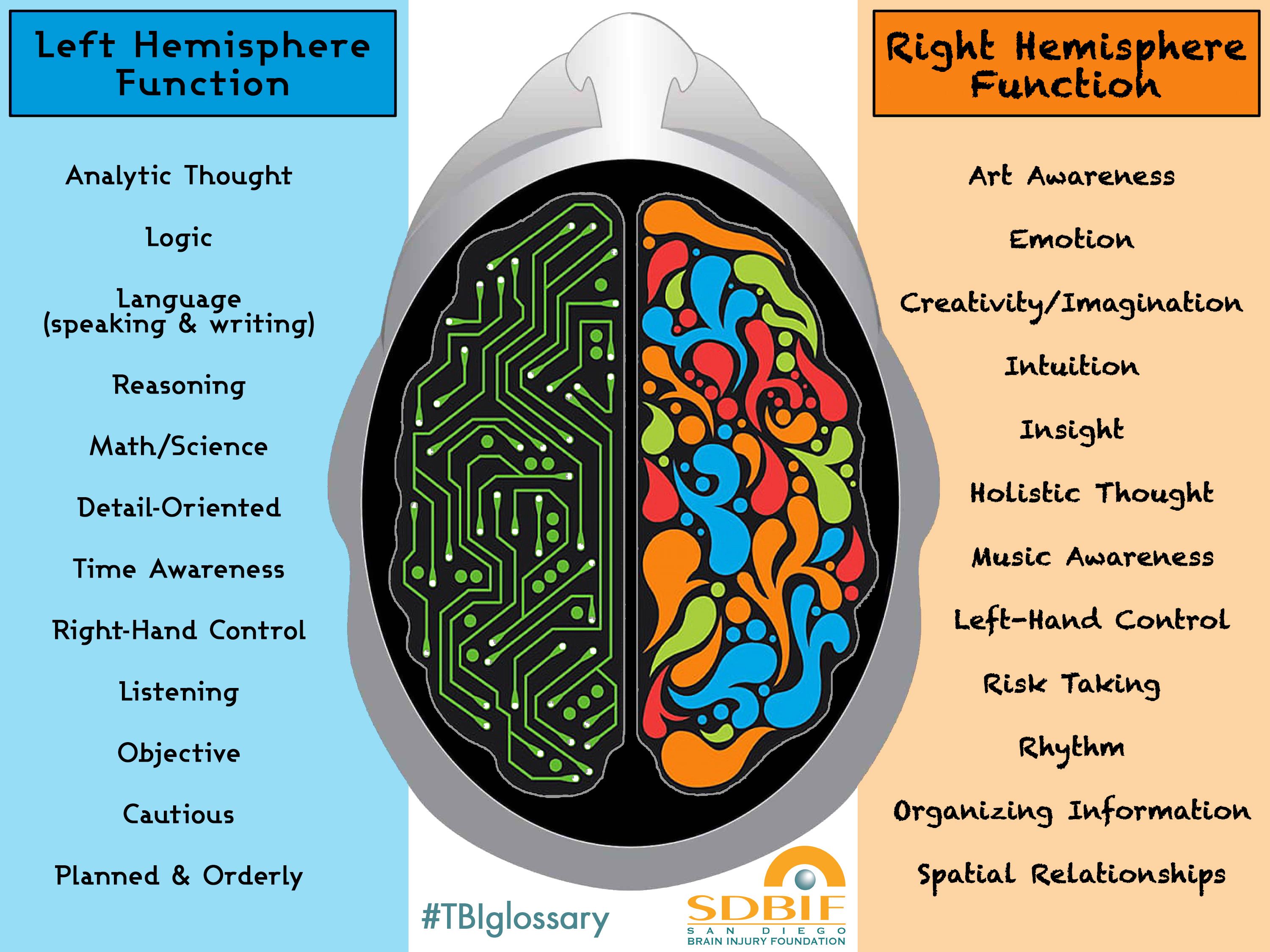 What Are the Functions of the Right Hemisphere