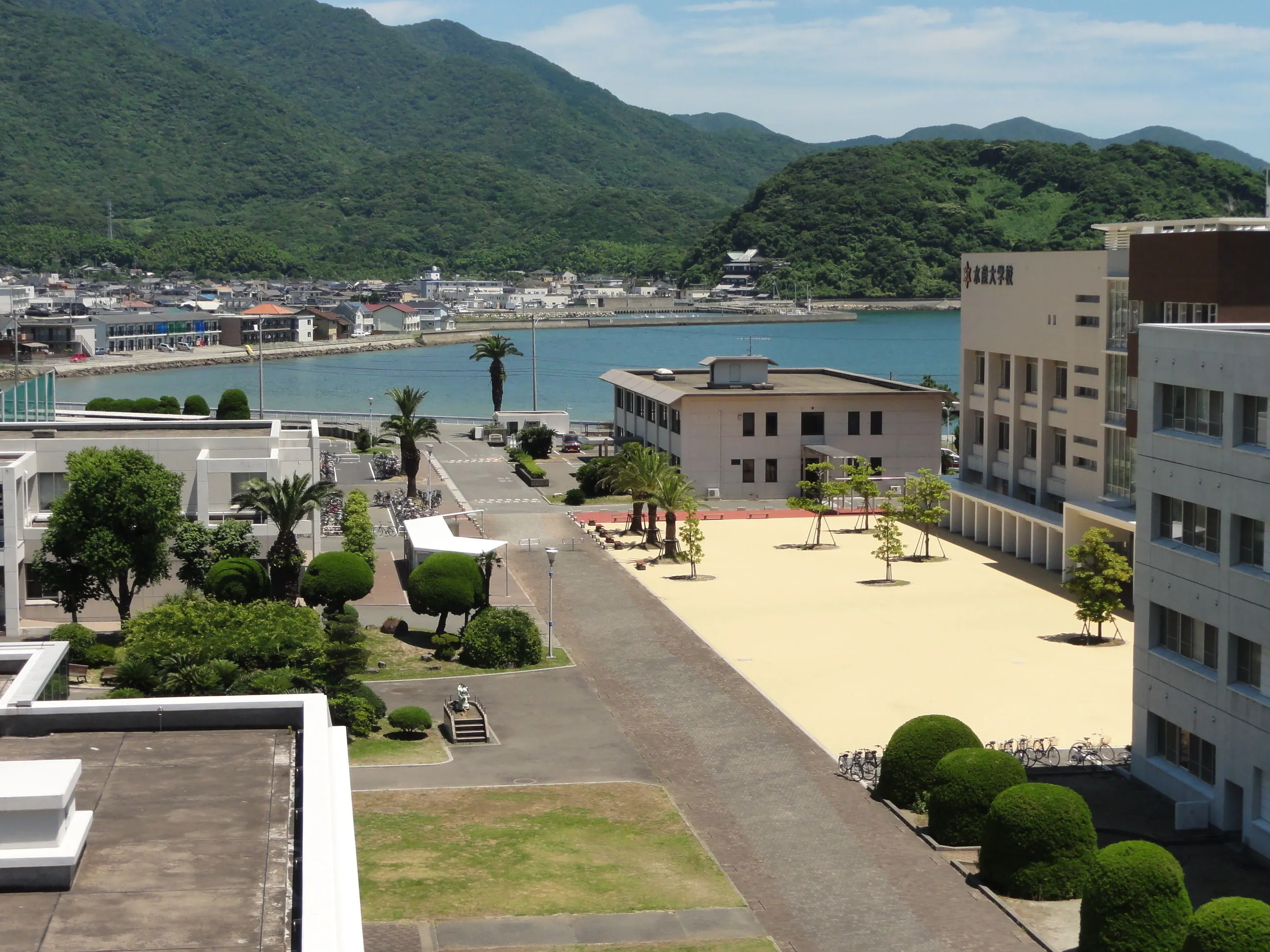 水産大学校の就職と偏差値・学費を徹底解剖！一般大との違いと寮のリアル