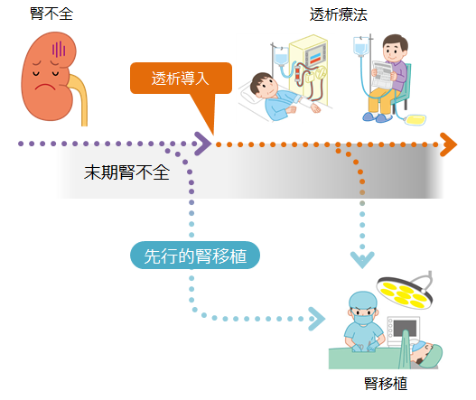 腎臓移植ドナーの条件とは？提供後の寿命や健康リスクと真実を徹底解説