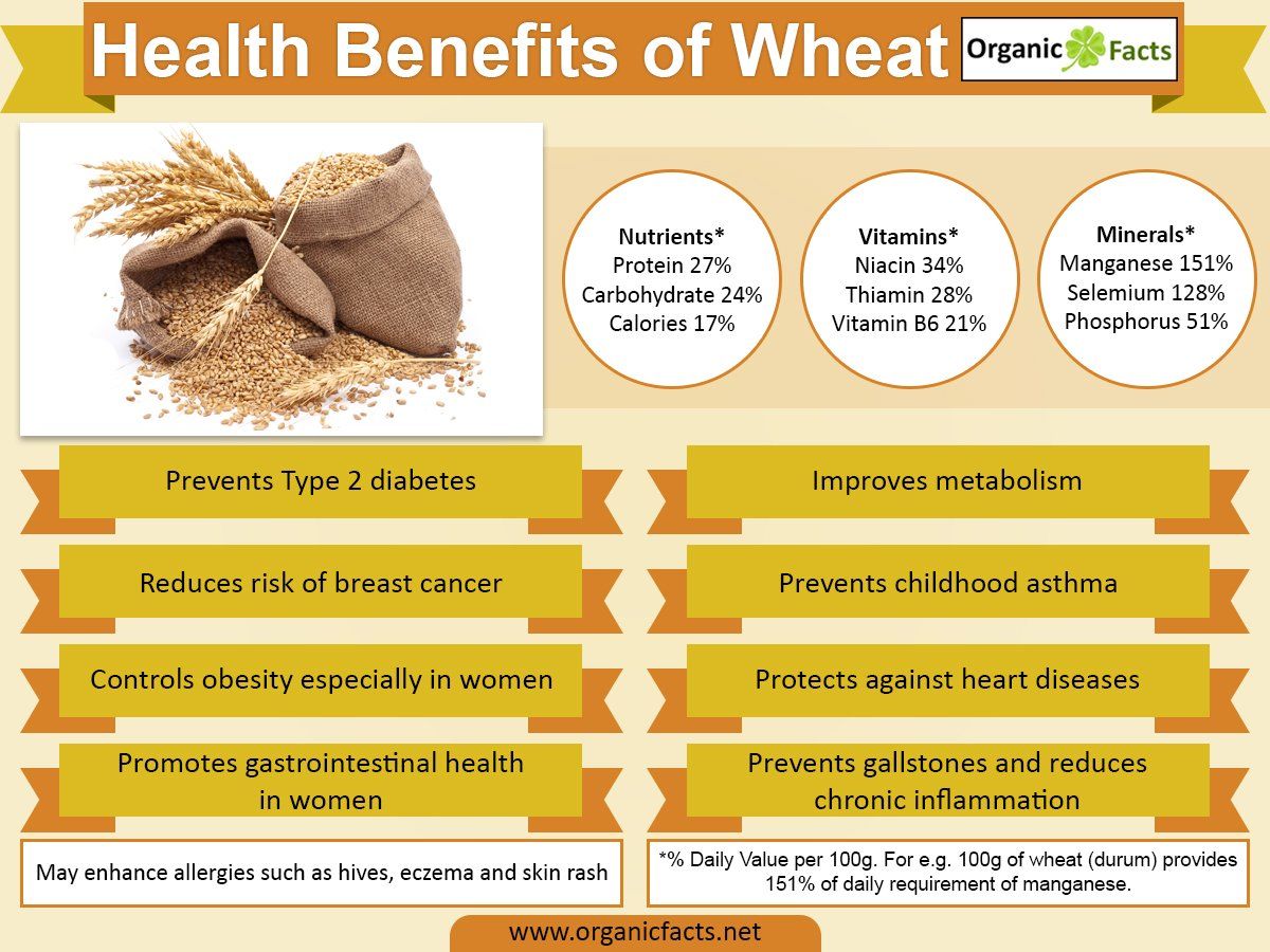 Whole Wheat Bread Benefits