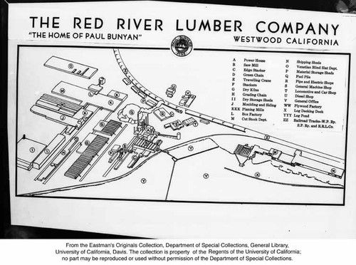 Red River Lumber Company Paul Bunyan