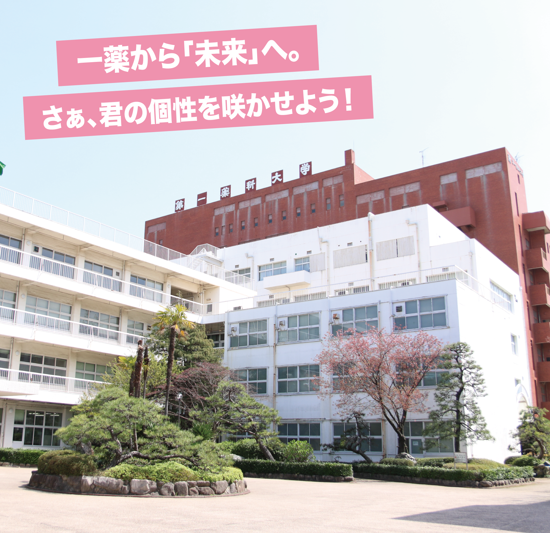 第一薬科大学はやばいのか？偏差値・国試合格率の真相と2026評判