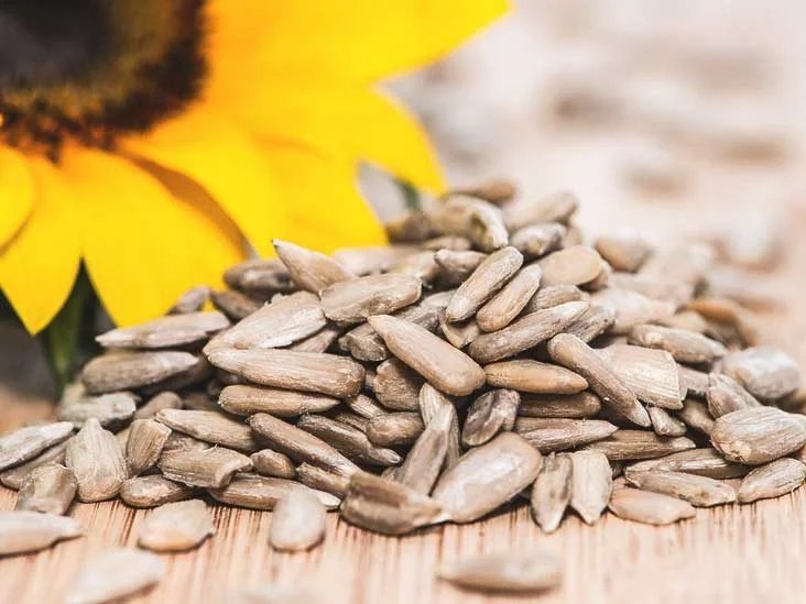 Does Sunflower Seeds Make You Poop