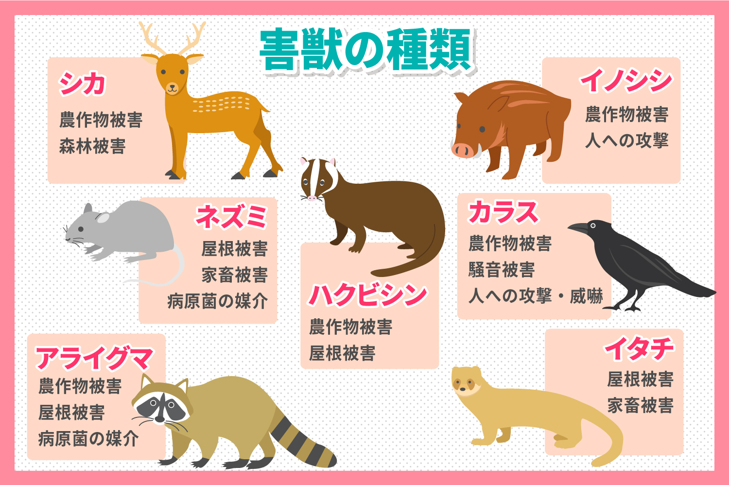 害獣とは？身近な動物の種類一覧と勝手な駆除が違法になる落とし穴を解説