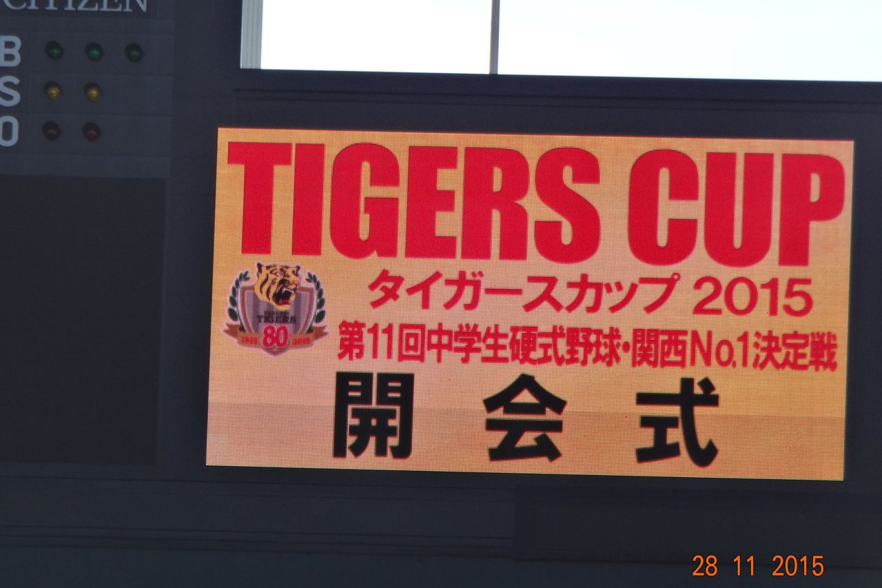 2026年虎党の熱狂はどこへ向かうのか？「阪神タイガース掲示板」が映し出すリアルなファン心理と巨大コミュニティの変革
