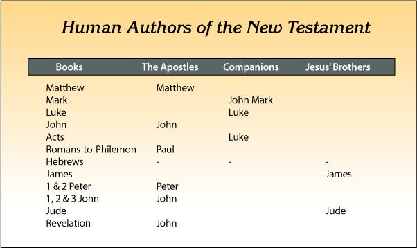 Who Wrote the New Testament of the Bible