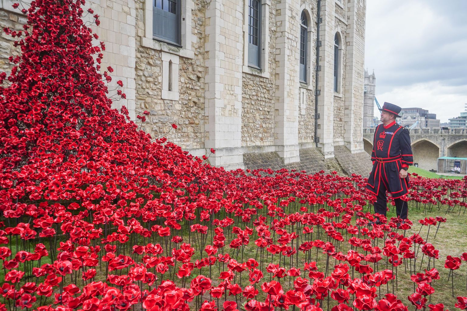 Are the Poppies Still at the Tower of London