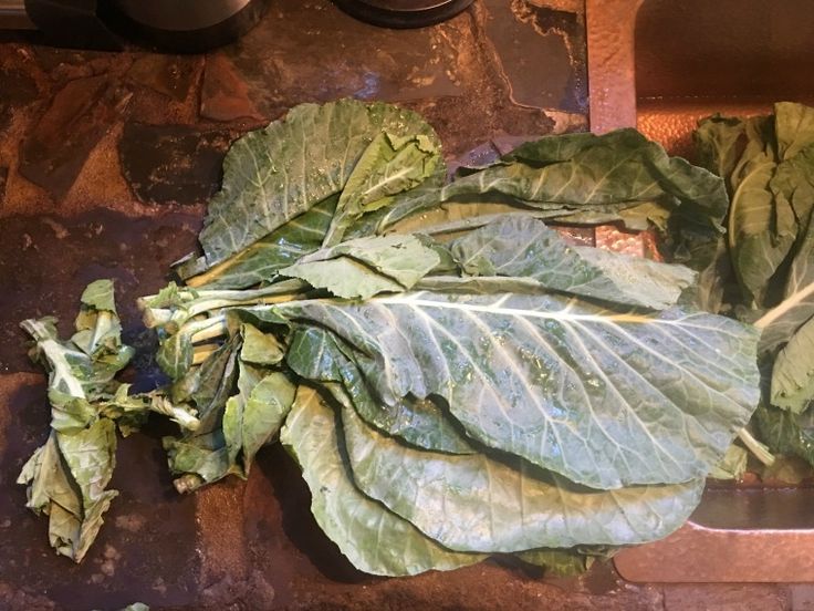 Uncooked Collard Greens Left out Overnight